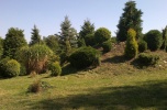 15 ha las, staw, agroturystyka