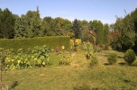 15 ha las, staw, agroturystyka