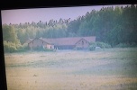 20 hektarów