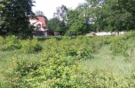 2,6 ha idealne na agroturystykę, hotel, stajnię lub pensjonat dla koni
