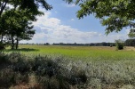 Atrakcyjna działka w Kostrzynie nad Odrą, oś. Szumiłowo