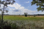 Atrakcyjna działka w Kostrzynie nad Odrą, oś. Szumiłowo