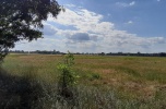 Atrakcyjna działka w Kostrzynie nad Odrą, oś. Szumiłowo
