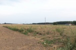 Atrakcyjne 4 działki Jankowo Dolne koło Gniezna. Prąd, woda, gaz, kanalizacja