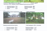 Atrakcyjne. Tanie działki z domkami nad Jeziorem Głębokim