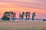 Bezpośrednio sprzedam piękne działki nad morzem w Smołdzińskim Lesie