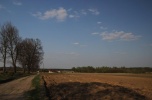 Bezpośrednio sprzedam ziemię rolną 2,0ha-12,14ha blisko zabudowań gmina Białogard zachodniopomorskie