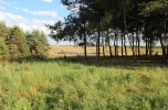 Człopa zachodniopomorskie działka 14,1 ha w mieście