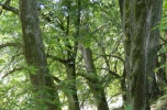 Dwór nad jeziorem 4,8 ha 400 m lini brzegowej