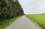 Działka Brzeźnica Książęca, 4 600 m² + las Tarło, 7 500 m²
