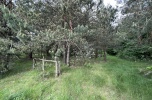Działka Brzeźnica Książęca, 4 600 m² + las Tarło, 7 500 m²