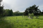 Działka Brzeźnica Książęca, 4 600 m² + las Tarło, 7 500 m²