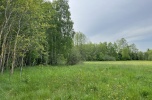 Działka Brzeźnica Książęca, 4 600 m² + las Tarło, 7 500 m²