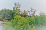Działka budowlana 1760 m2 - Borowina / Konstancin Jeziorna - przy lesie