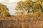 Działka budowlana - inwestycyjna Warszawa Wawer ul. Panoramy 1,5 ha
