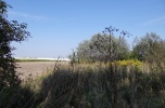 Działka budowlana Pruszków, Żbików, Duchnicka