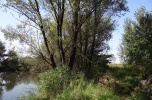 Działka budowlana Pruszków, Żbików, Duchnicka
