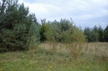 Działka budowlana przy Puszczy Piskiej, Mazury południowe