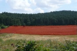 Działka budowlana - Sulistrowice