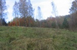 Działka na polanie leśnej w Olsztynie - Gutkowo
