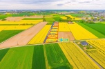 Działka na sprzedaż w Kalinówce