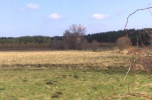 Działka pod farmę fotowoltaiczną, stadninę lub inne pomysły