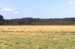 Działka pod farmę fotowoltaiczną, stadninę lub inne pomysły