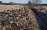 Działka pod farmę fotowoltaiczną, stadninę lub inne pomysły