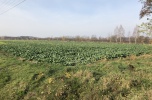 Działka pod inwestycje