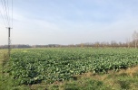 Działka pod inwestycje