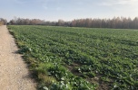 Działka pod inwestycje