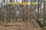 Działka pod rezydencję pod Warszawą