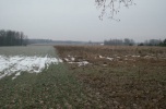 Działka przemyslowa, usługowa, handlowa