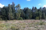 Działka rekreacyjna 7,5 ha, dowolna powierzchnia, od 8zł, Sekłak, woj. mazowieckie, pow. węgrowski