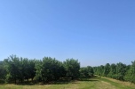 Działka rolna