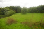 Działka siedliskowa, Pomlewo