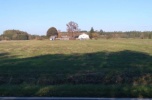 Działki budowlane Sulejów