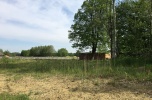 Działki inwestycyjne,  Zieleniec, Opolskie