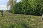 Działki inwestycyjne,  Zieleniec, Opolskie