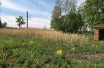 Działki inwestycyjne,  Zieleniec, Opolskie