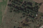 Działki po 1000 m2 Trojany/Wszebory