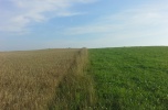 Gospodarstwo rolne na Suwalszczyźnie