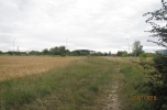 Grunt inwestycyjny 2,09 ha w Legnicy