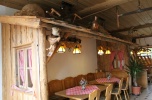 Hotel w Lasach Bawarskich