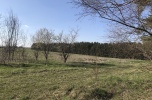 Jura działka 5 ha
