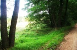 Kampinos - 7682m2 - piękna działka w atrakcyjnej cenie