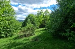 Karkonosze, Miłków pod Karpaczem, 6800 m2, budowlana pod lasem