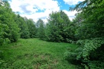 Karkonosze, Miłków pod Karpaczem, 6800 m2, budowlana pod lasem