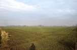 Kompleks działek rolnych i budowlanych, 140 ha, R3b, Pobiednik