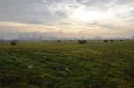 Kompleks działek rolnych i budowlanych, 140 ha, R3b, Pobiednik